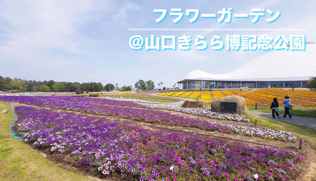 ココランドから車で約16分中国地方最大級の「フラワーガーデン」＠山口きらら博記念公園