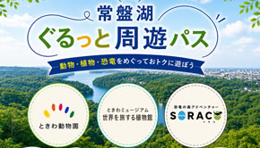 夏休み限定！動物・植物・恐竜をおトクにめぐれる「常盤湖ぐるっと周遊パス」